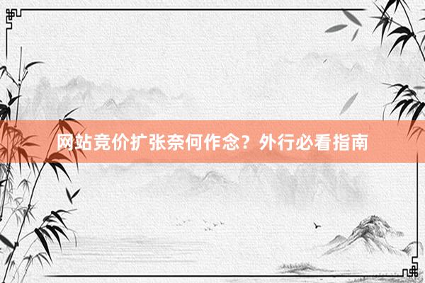 网站竞价扩张奈何作念？外行必看指南