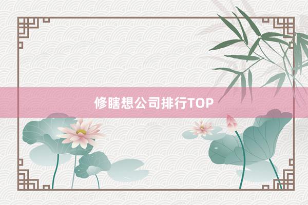 修瞎想公司排行TOP