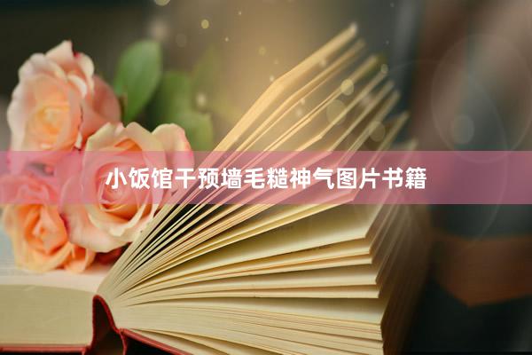 小饭馆干预墙毛糙神气图片书籍