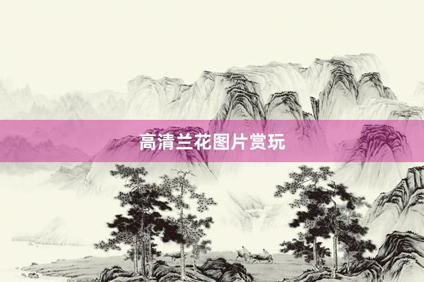 高清兰花图片赏玩
